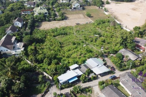 Земельный участок в Чиангмае, Таиланд № 162632 - фото 4