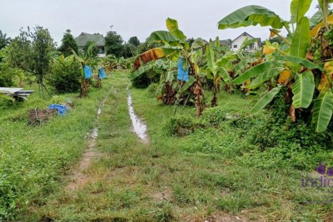 Земельный участок в Чиангмае, Таиланд № 162632 - фото 11