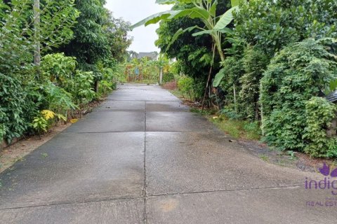 Земельный участок в Чиангмае, Таиланд № 162632 - фото 13