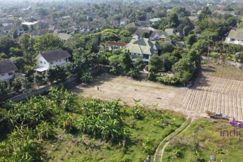 Земельный участок в Чиангмае, Таиланд № 162632 - фото 9