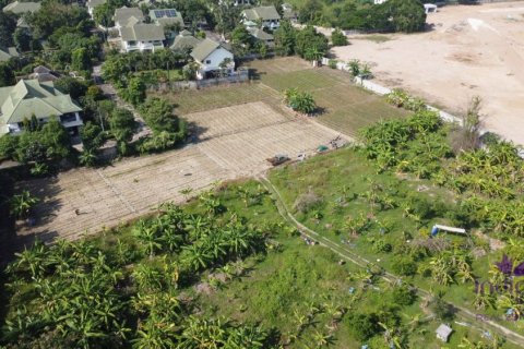 Земельный участок в Чиангмае, Таиланд № 162632 - фото 7