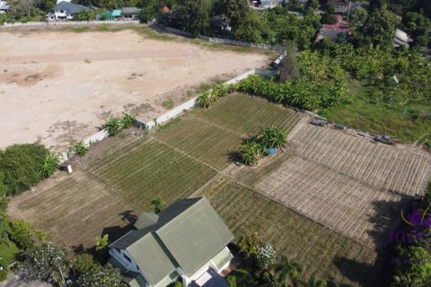 Земельный участок в Чиангмае, Таиланд № 162632 - фото 6