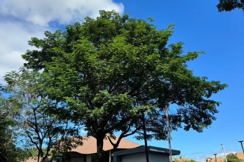 Condo à Chiang Mai, Thaïlande, 2 chambres  № 160422 - photo 18