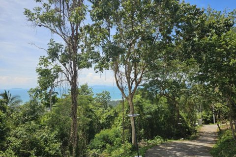 Terrain à Ko Samui, Thaïlande 20624 m2 № 160424 - photo 6