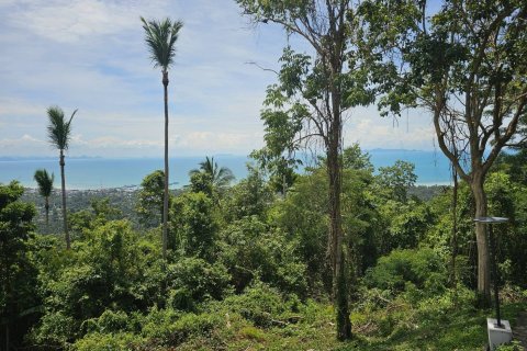 Terrain à Ko Samui, Thaïlande 20624 m2 № 160424 - photo 5