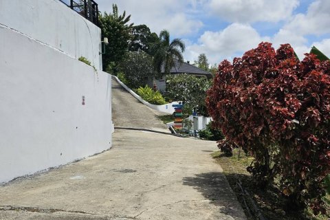 Terrain à Ko Samui, Thaïlande 20624 m2 № 160424 - photo 7