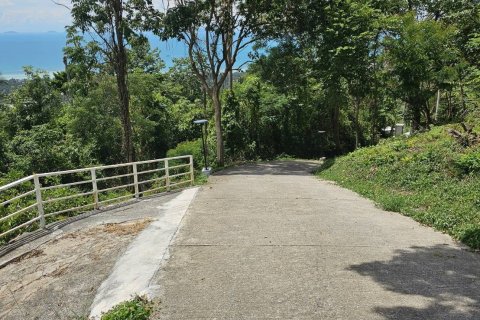 Terrain à Ko Samui, Thaïlande 20624 m2 № 160424 - photo 4