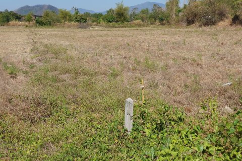 Terrain à Nakhon Nayok, Thaïlande 19652 m2 № 150166 - photo 3