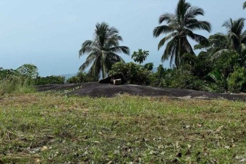 Land in Ko Samui, Thailand 12800 sq.m. № 164594 - photo 5