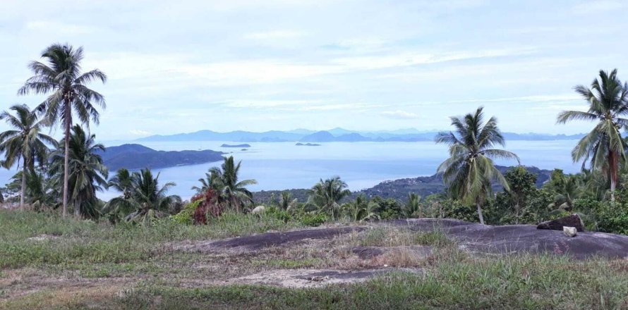 Land in Ko Samui, Thailand 12800 sq.m. № 164594