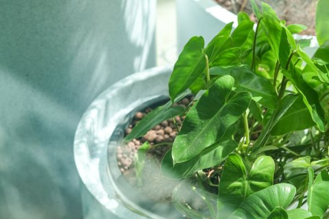 Villa à Phuket, Thaïlande 3 chambres № 154958 - photo 16