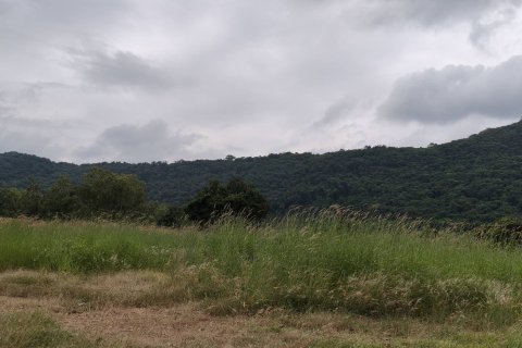 Terrain à Pak Chong, Thaïlande 8 m2 № 154772 - photo 6
