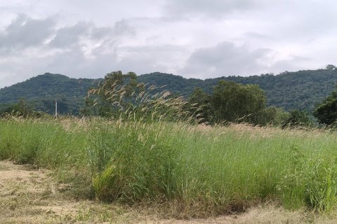 Terrain à Pak Chong, Thaïlande 8 m2 № 154772 - photo 2
