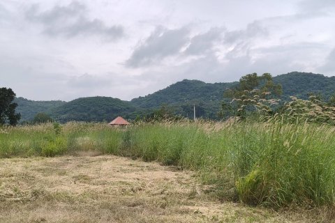 Terrain à Pak Chong, Thaïlande 8 m2 № 154772 - photo 1