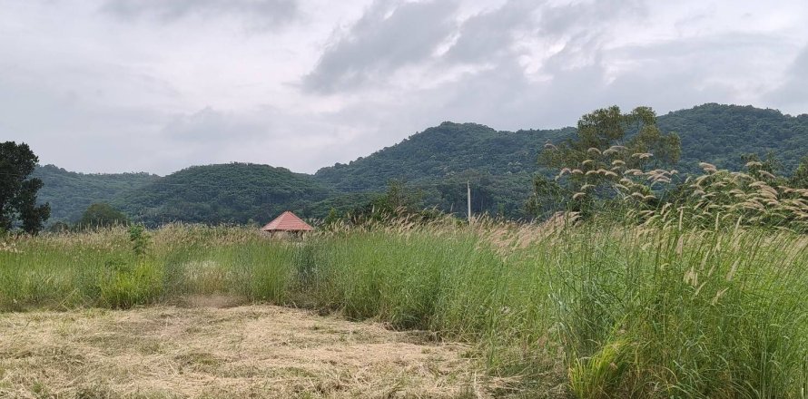 Terrain à Pak Chong, Thaïlande 8 m2 № 154772