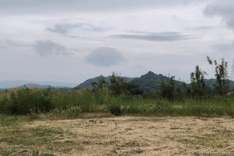 Terrain à Pak Chong, Thaïlande 8 m2 № 154772 - photo 10