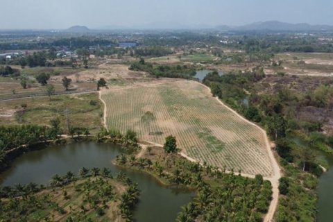 Terrain à Hua Hin, Thaïlande 33600 m2 № 154775 - photo 3