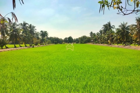 Terrain à Nonthaburi, Thaïlande 7036 m2 № 158062