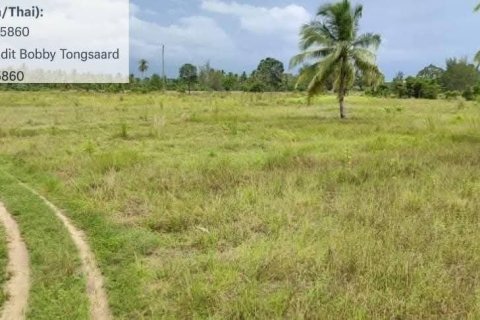 Земельный участок в Пхангнге, Таиланд 73600м2  № 148628 - фото 8