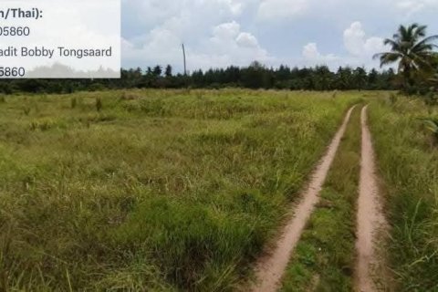 Земельный участок в Пхангнге, Таиланд 73600м2  № 148628 - фото 6