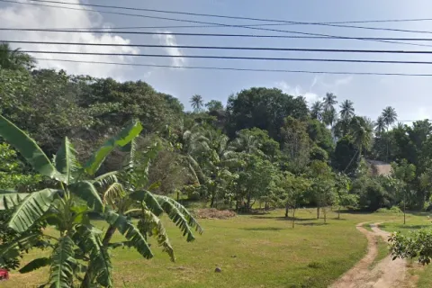 Земельный участок в Сураттхани, Таиланд 6400м2  № 155127 - фото 4