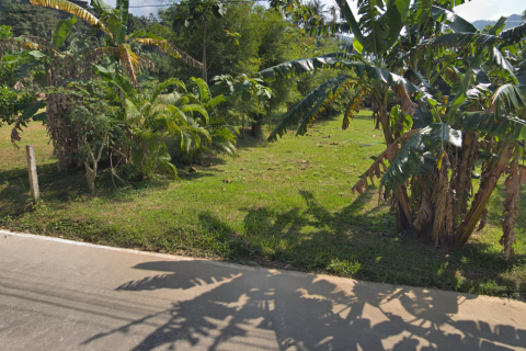 Земельный участок в Сураттхани, Таиланд 6400м2  № 155127 - фото 5