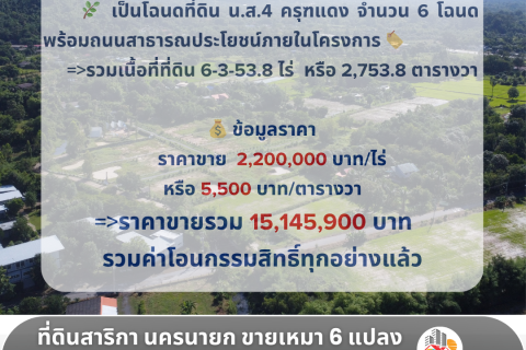 Terrain à Nakhon Nayok, Thaïlande 11015.2 m2 № 155129 - photo 12