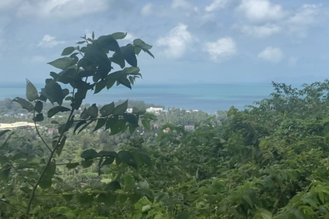 Land in Ko Samui, Thailand 1200 sq.m. № 136800 - photo 1