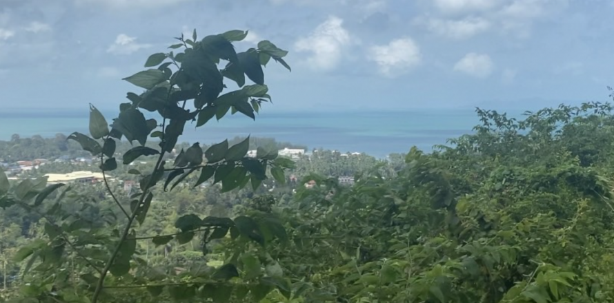 Land in Ko Samui, Thailand 1200 sq.m. № 136800