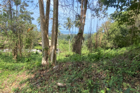 Land in Ko Samui, Thailand 1200 sq.m. № 136800 - photo 6