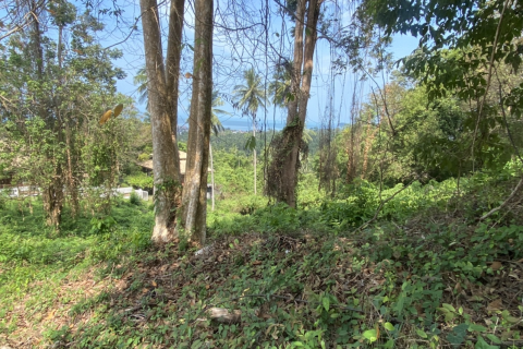 Land in Ko Samui, Thailand 1200 sq.m. № 136800 - photo 3