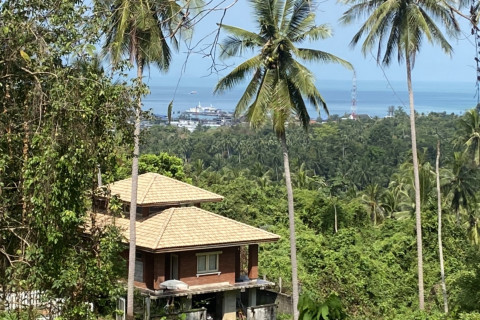 Land in Ko Samui, Thailand 1200 sq.m. № 136800 - photo 5