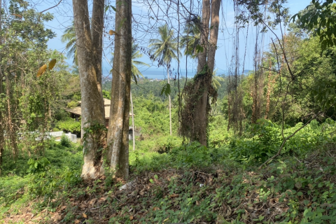 Land in Ko Samui, Thailand 1200 sq.m. № 136800 - photo 4