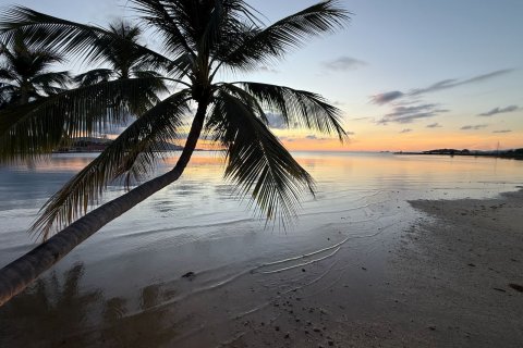 Land in Ko Samui, Thailand 2000 sq.m. № 138313 - photo 4