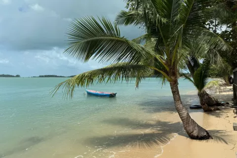 Land in Ko Samui, Thailand 2000 sq.m. № 138313 - photo 6