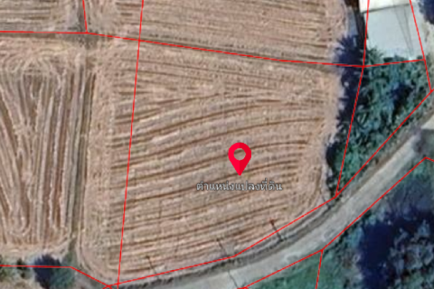 Земельный участок в Пхитсанулоке, Таиланд 6112м2  № 171034 - фото 6