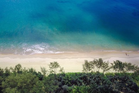 Land in Phang Nga, Thailand 1464.4 sq.m. № 170574 - photo 7