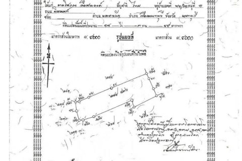 Land in Pathum Thani, Thailand 30400 sq.m. № 170774 - photo 5