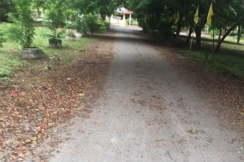 Land in Pathum Thani, Thailand 30400 sq.m. № 170774 - photo 2