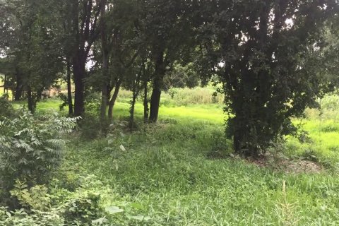 Land in Pathum Thani, Thailand 30400 sq.m. № 170774 - photo 4