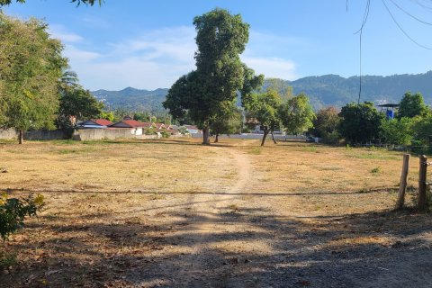 Land in Ko Samui, Thailand 1600 sq.m. № 164078