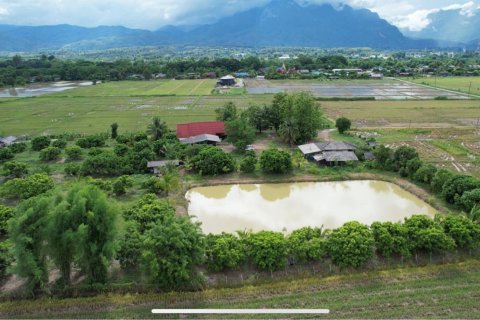 Земельный участок в Чианг Дао, Таиланд 10300м2  № 153087 - фото 1