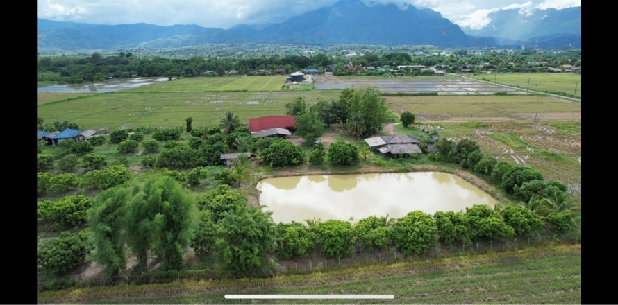 Земельный участок в Чианг Дао, Таиланд 10300м2  № 153087