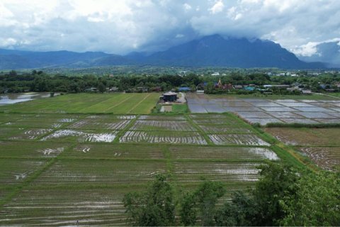 Земельный участок в Чианг Дао, Таиланд 10300м2  № 153087 - фото 3