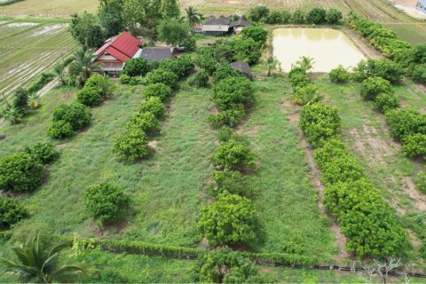 Земельный участок в Чианг Дао, Таиланд 10300м2  № 153087 - фото 2