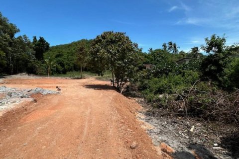 Земельный участок в Сураттхани, Таиланд  № 172845 - фото 2