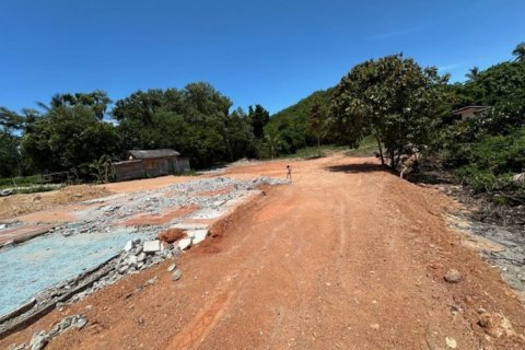 Земельный участок в Сураттхани, Таиланд  № 172845 - фото 5