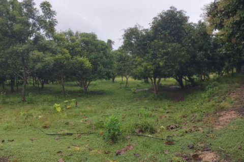 Land in Ubon Ratchathani, Thailand 54400 sq.m. № 136002 - photo 7