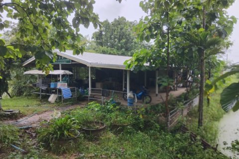 Land in Ubon Ratchathani, Thailand 54400 sq.m. № 136002 - photo 4