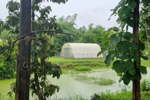 Land in Ubon Ratchathani, Thailand 54400 sq.m. № 136002 - photo 5